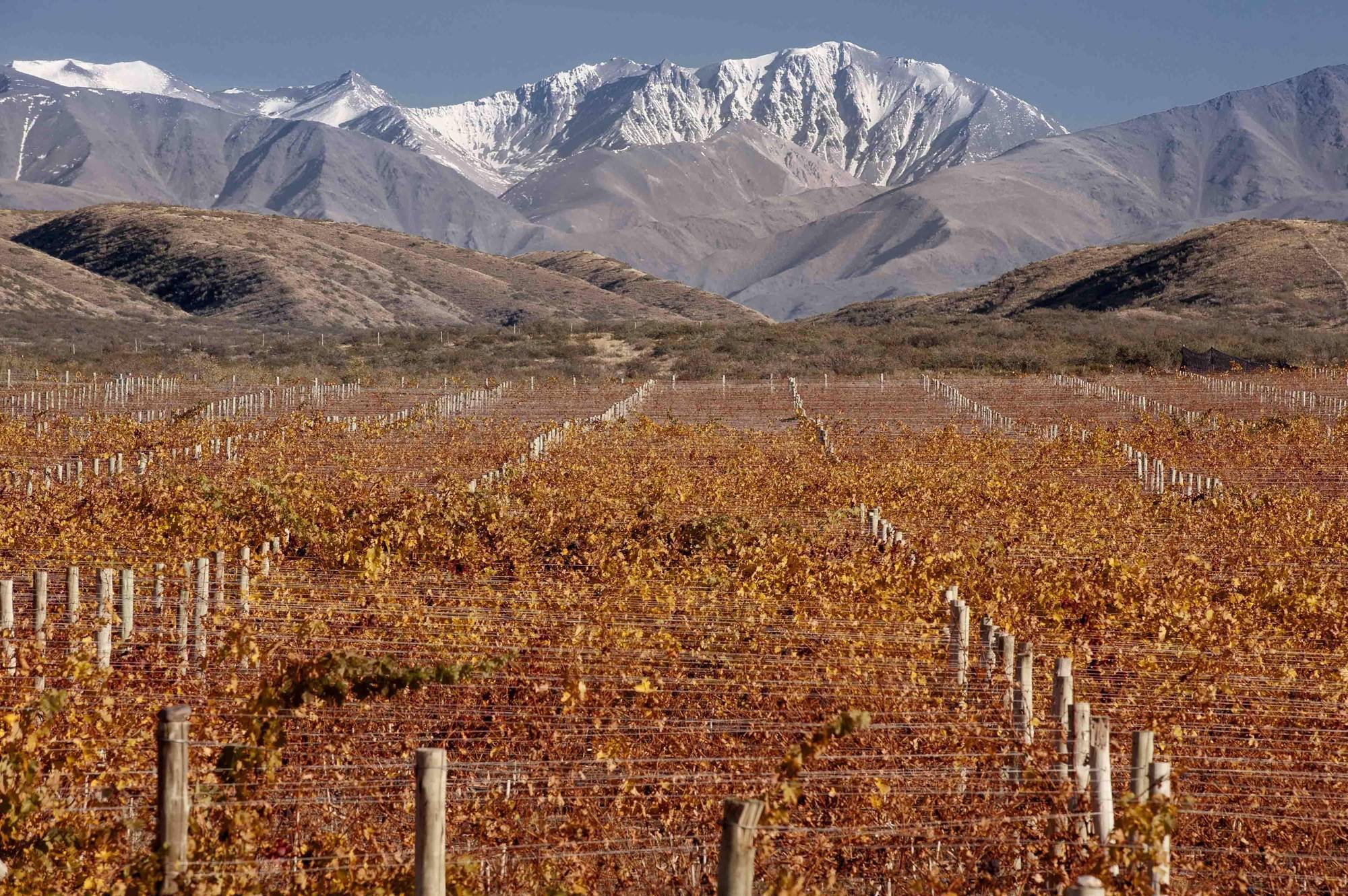 Du Vin, A Tribute Portfolio 5*