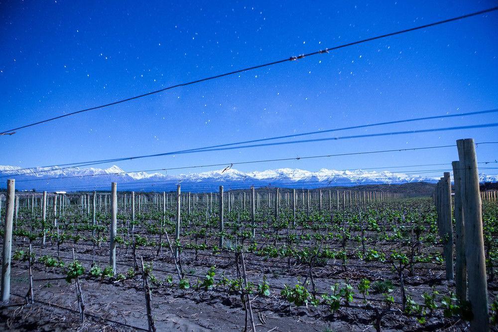 Du Vin, A Tribute Portfolio Hotel 5*