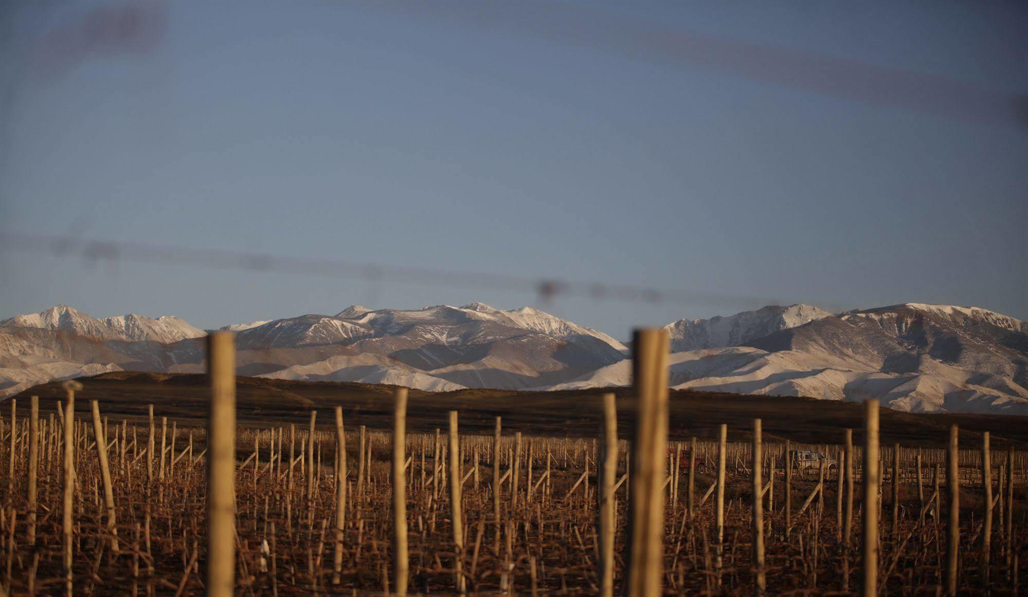 Du Vin, A Tribute Portfolio Hotel